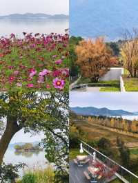 行者遊記|寧波黃金大道東錢湖Zui上鏡銀杏林