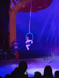 南昌周邊遊|遛娃天花板唯美動物世界