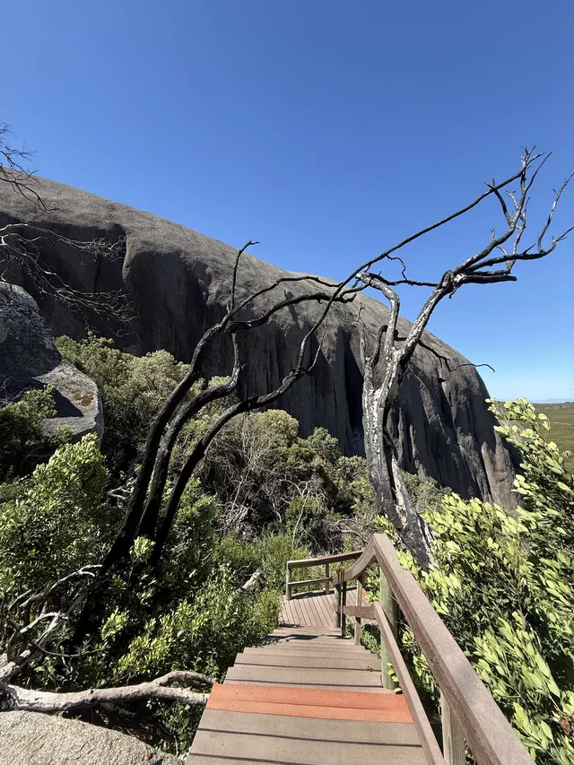 歡迎來到夏天的長白山
