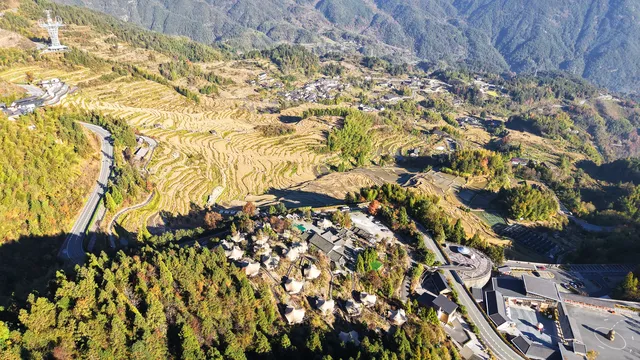 雲和梯田截止1129稻穀收割進度,附遊玩攻略 雲和梯田截止1129稻穀收割進度,附遊玩攻略