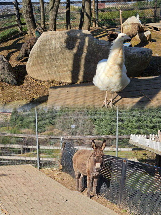 西安|周邊度假必去！住農場酒店、看落日夜景，露營超快樂