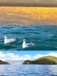 “瀘沽湖晨霧，彷彿一場盛大的油畫展”