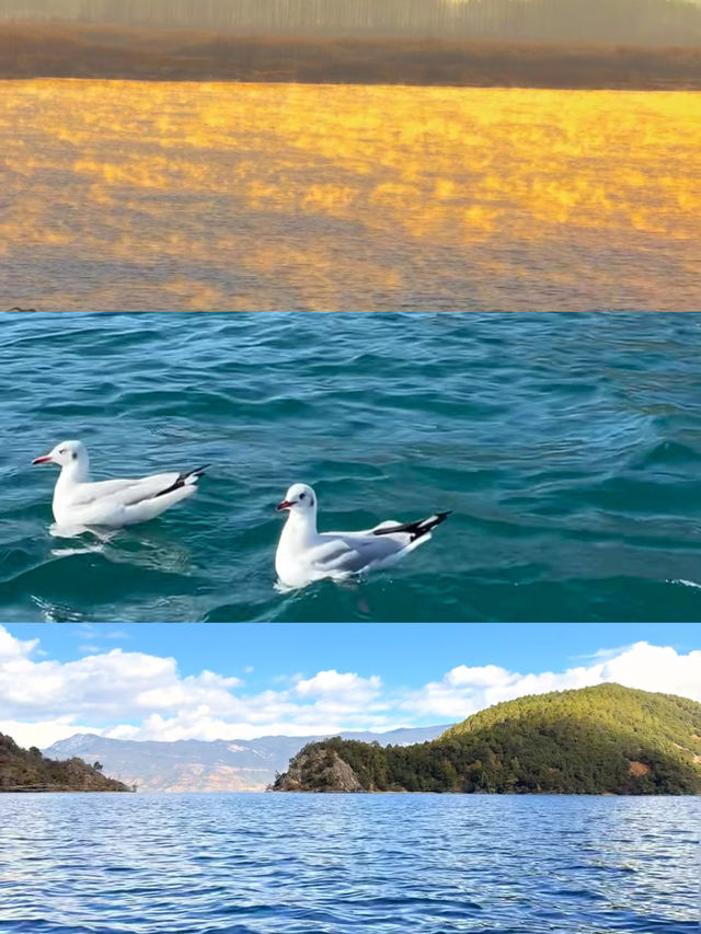 “瀘沽湖晨霧，彷彿一場盛大的油畫展”