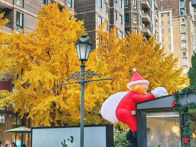 金色暴擊!上海黃金城道銀杏濃度已滿格! 金色暴擊!上海黃金城道銀杏濃度已滿格!