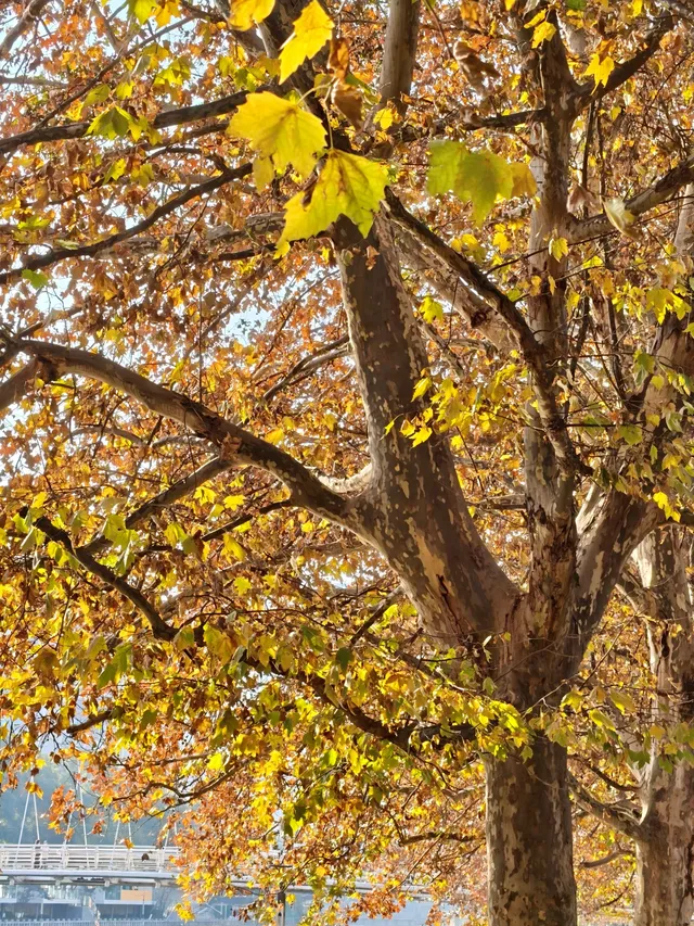 暖冬限定×浪漫暴擊