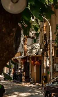 廈門拍照|在陽光鋪滿的信義路看發光的秋天