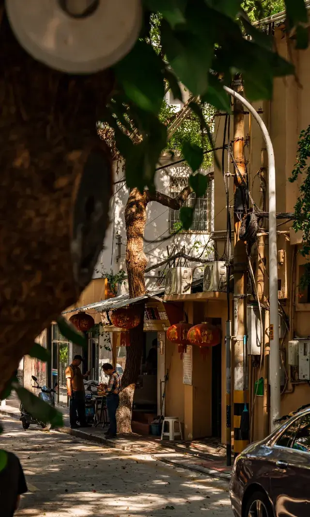 廈門拍照|在陽光鋪滿的信義路看發光的秋天