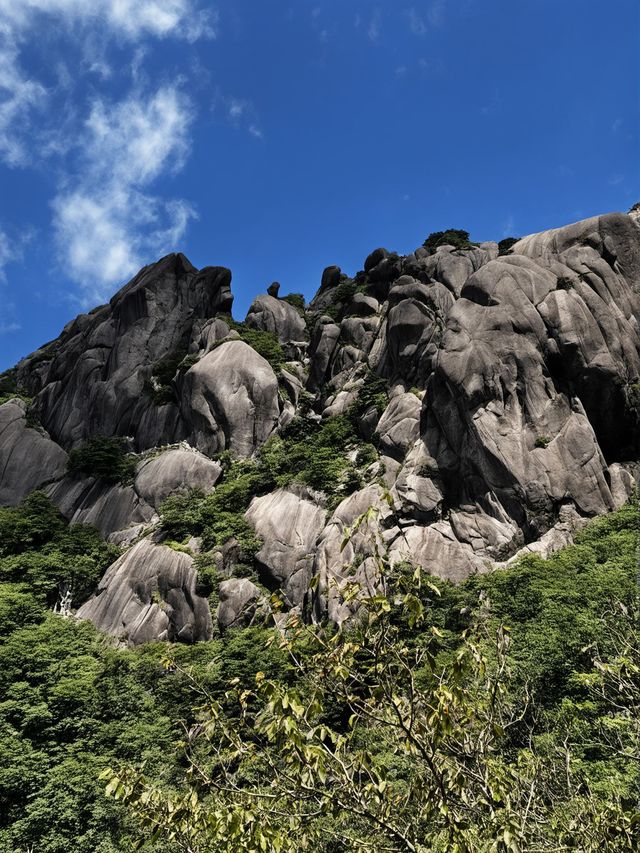 冬天要去黃山包車遊超全攻略