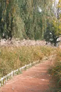 在青島也可以拍到的童話世界