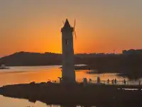 落葉倒數計時!千島湖落日金葉,衝就對了!