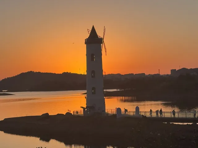 落葉倒數計時!千島湖落日金葉,衝就對了! 落葉倒數計時!千島湖落日金葉,衝就對了!