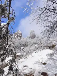 廣東高鐵1.5h直達！莽山霧淞不爬山攻略