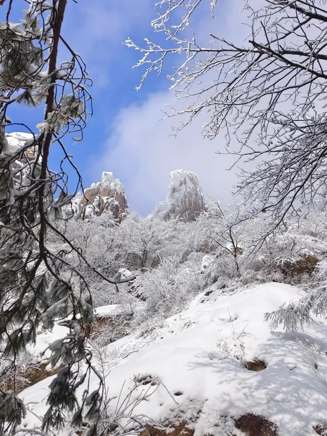 廣東高鐵1.5h直達！莽山霧淞不爬山攻略