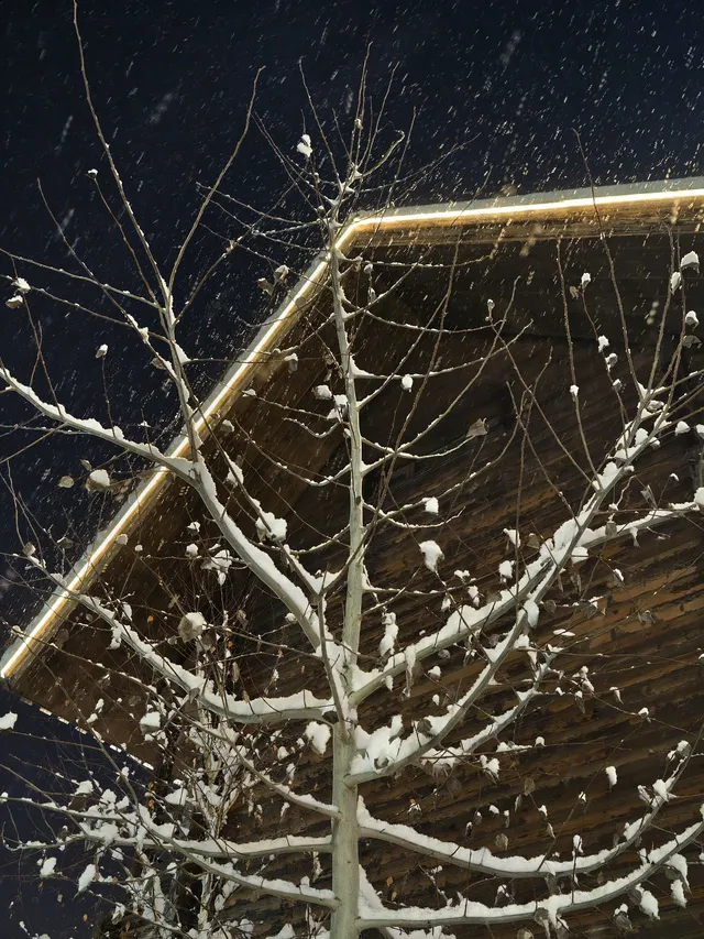 禾木今晚大雪 禾木雪景的絕殺拍攝地點