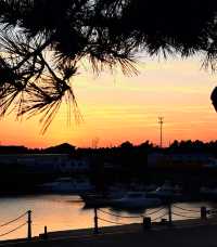 青島:山海間的百年風情,一灣潮起的時光長卷