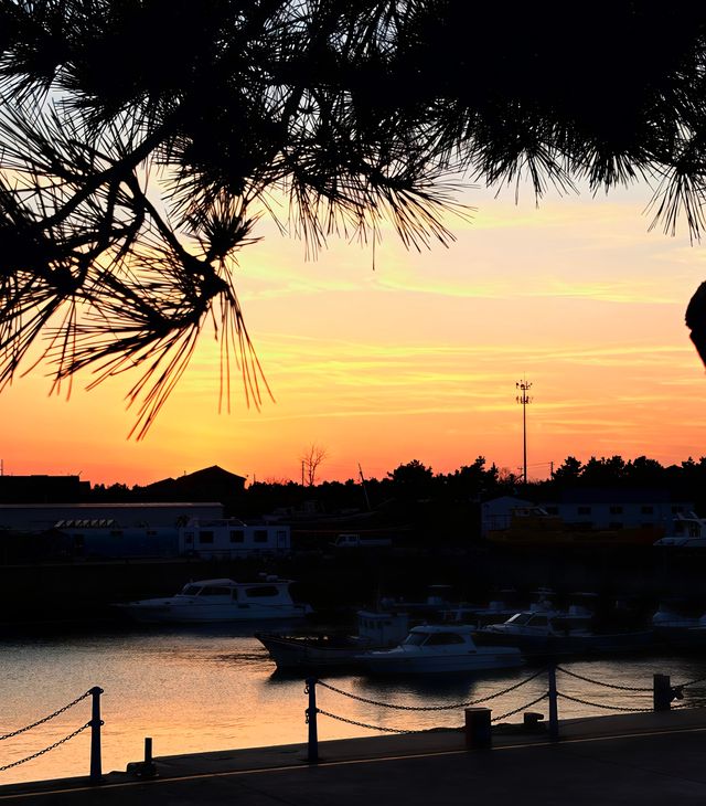 青島:山海間的百年風情,一灣潮起的時光長卷 青島:山海間的百年風情,一灣潮起的時光長卷