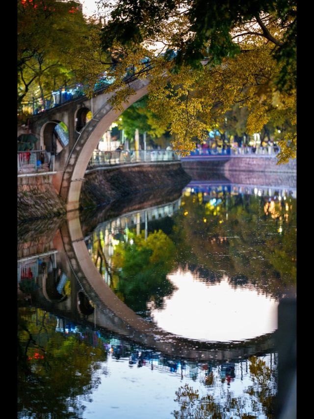 昆明秋日頂流滇樸鎏金季!保姆級打卡攻略,錯過等一年 昆明秋日頂流滇樸鎏金季!保姆級打卡攻略,錯過等一年