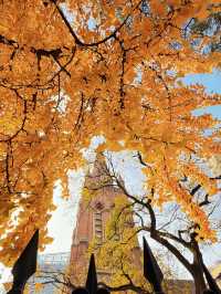 深秋限定！上海聖三一教堂銀杏與穹頂的絕美邂逅