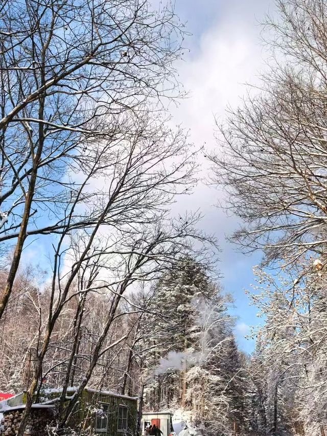 長白山滑雪攻略冬日限定快樂！快來碼住這份玩雪指南！