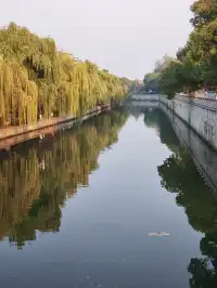 滿城盡飛黃金葉，紹興古城河清園秋色正迷人