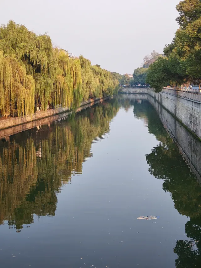 滿城盡飛黃金葉，紹興古城河清園秋色正迷人