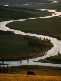 參加一場真正的冰雪那達慕!莫爾格勒河畔的冬日狂歡賽