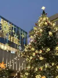 又幸福了!重慶冬日浪漫氛圍感拉滿~