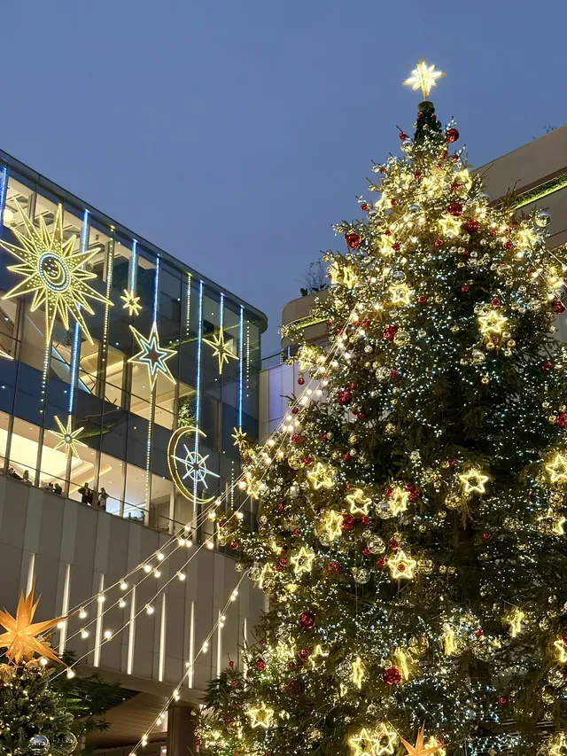 又幸福了!重慶冬日浪漫氛圍感拉滿~ 又幸福了!重慶冬日浪漫氛圍感拉滿~