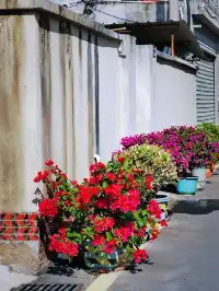 廈門新晉網紅漁村打卡街道公園|同安後田村