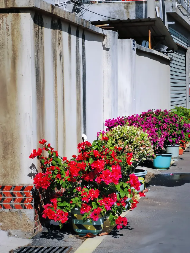 廈門新晉網紅漁村打卡街道公園|同安後田村
