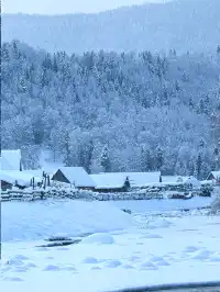 北疆冰雪仙境:喀納斯奇幻之旅!