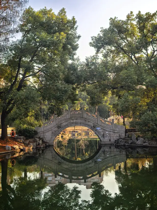 Winter Garden Tranquil Shadows