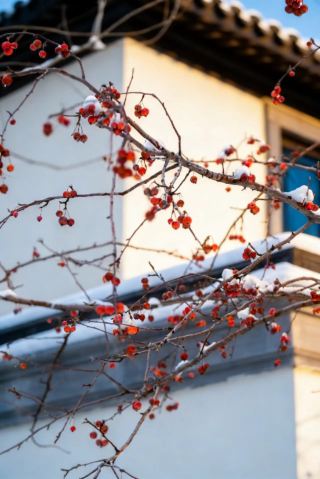 私藏雪景！濟寧這座古院落美得像一首詩
