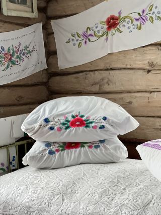 คู่มือวัฒนธรรมตาตาร์✨