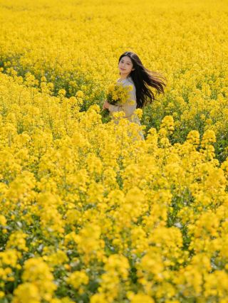 Tonight, enjoy the fireworks show, stroll through the market, and take amazing photos of the rapeseed flowers.