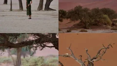 Sossusvlei Red Desert and Death Valley | Namibia — traveler post in Namibia
