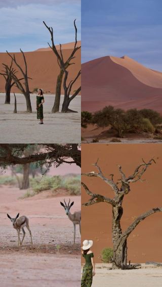蘇絲斯黎紅沙漠和死亡谷 | 納米比亞