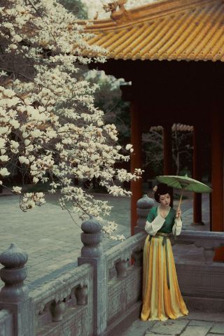 Nanjing Flower Viewing | Chaotian Palace White Magnolia Blooming Period + Hanfu Photography Complete Guide