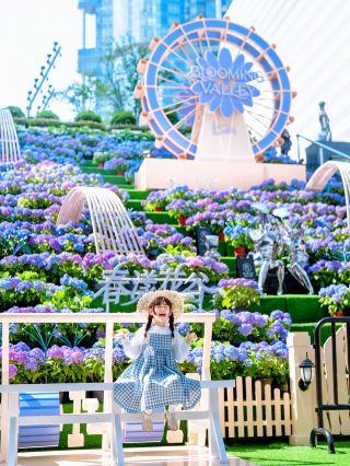 บันไดที่ปกคลุมไปด้วยดอกไฮเดรนเจียต้อนรับฤดูร้อนท่ามกลางทะเลดอกไม้ในใจกลางลู่เจียจุ่ยนั้นงดงามอย่างแท้จริง!