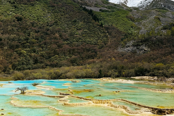 黄龍景区｜人間の瑶池カラフルな仙境 | Trip.com 松潘
