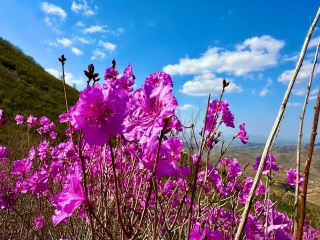 遼西小眾秘境｜朝陽雲蒙山實測千字測評，短途徒步首選