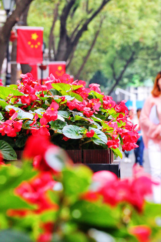 ถนนหลี่หวงผี: ถนนสายย้อนยุคที่คุ้มค่าที่สุดในหวู่ฮั่น | คู่มือท่องเที่ยวหวู่ฮั่น