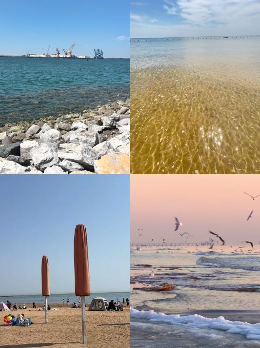 天津の海貝楽園から帰ってきたばかりですが、一言言わせてください……東