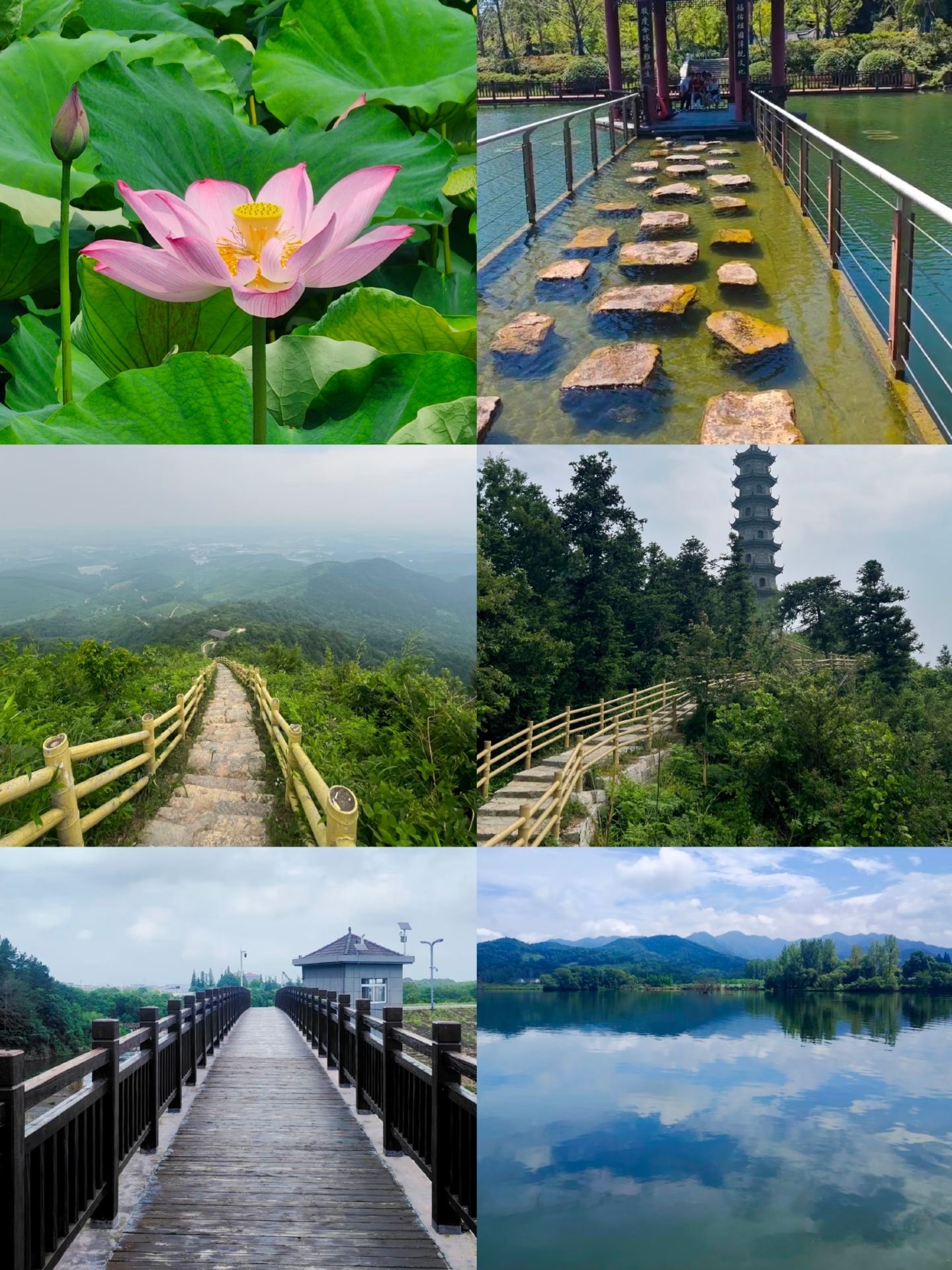 Just back from Lujiang! 2 days, 1 night—just want to share some honest truths