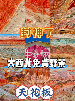 鳳神達林哥｜中国西北部における自由旅行の限界