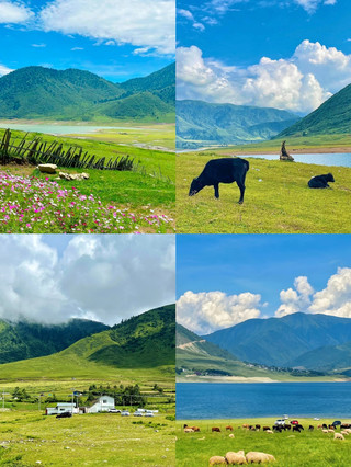 Panduan Road Trip 2D1N Danau Yele | Wajib Pesan Penginapan untuk Bisa Masuk! 🚗💨