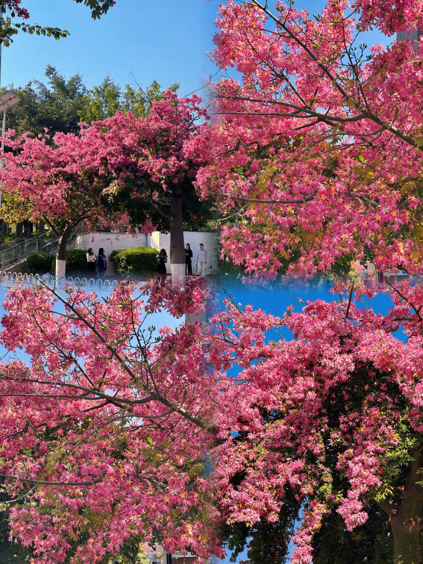 Best places for National Day: 4 recommended attractions in Panzhihua