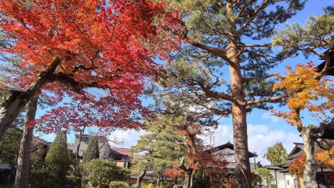 Don't miss out on a Japan getaway for the long weekend! — traveler post in Ena