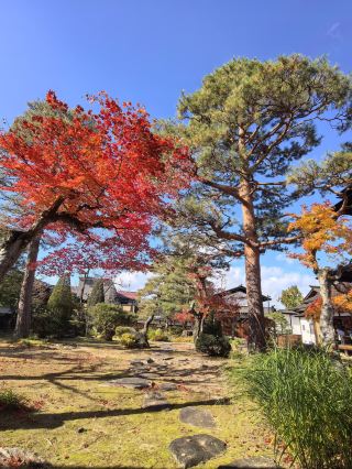 連休に日本へ行かないなんて、一生の損！