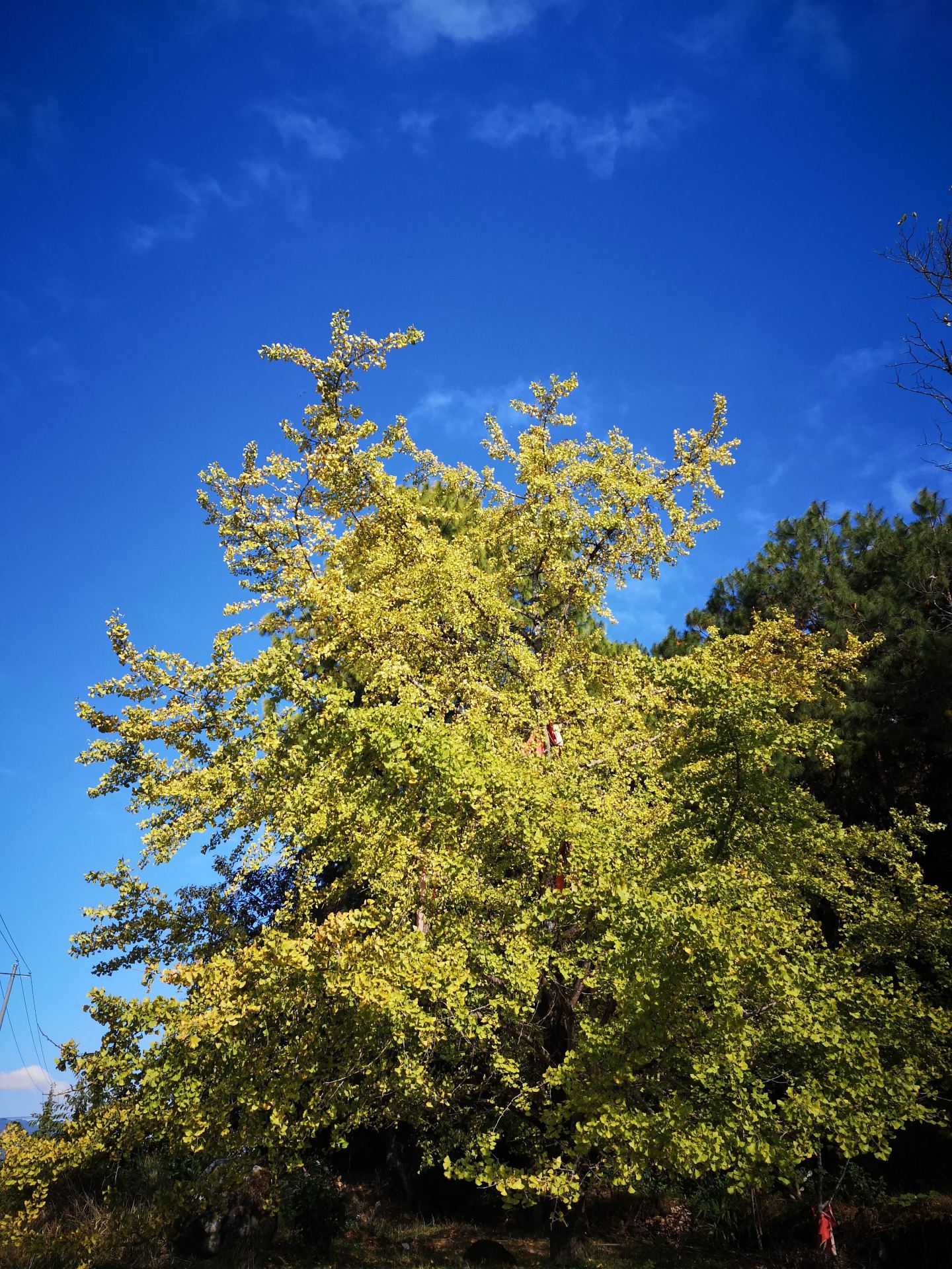 6-day Dehong-Baoshan ultimate guide: just follow this and go